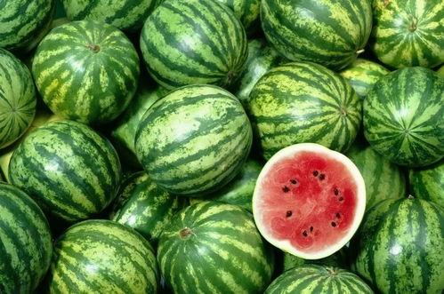 洋酱吃瓜,揭秘娱乐圈幕后故事