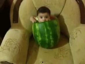 你们吃瓜都去哪里吃的图片,跟随图片探寻美食之旅