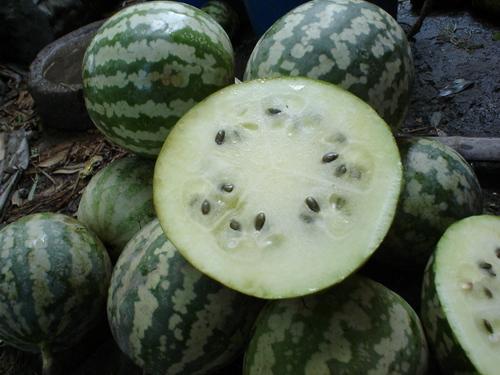 变异瓜怎么吃视频,视频教你美味吃法