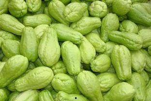 吃瓜的阳光农场,吃瓜者的田园乐土