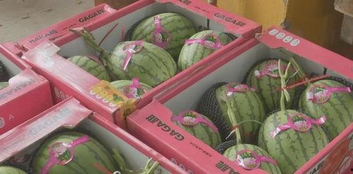 吃瓜福利,福利大放送！