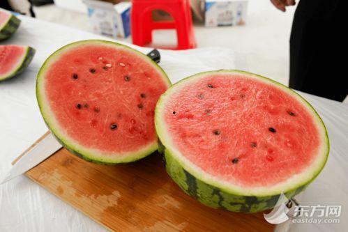 全系列吃瓜,娱乐圈幕后真相全解析