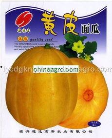 黄皮面瓜怎么吃,解锁美味新体验