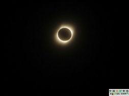 日全食吃瓜图片,日全食奇观下的“吃瓜群众”瞬间