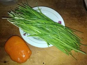 韭菜茄瓜可以一起吃吗,营养互补的佳肴组合