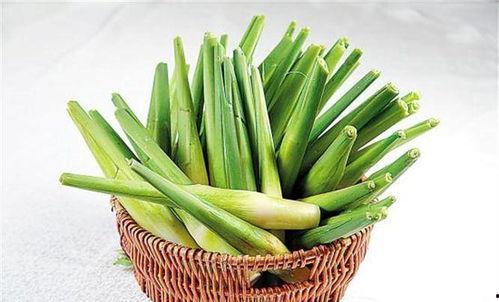 梦见去水里偷茭白瓜吃瓜,水中偷瓜的奇幻之旅