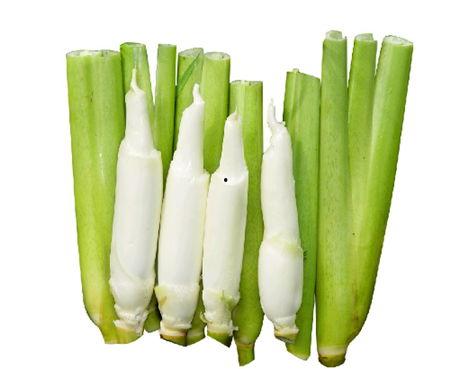 梦见去水里偷茭白瓜吃瓜,水中偷瓜的奇幻之旅