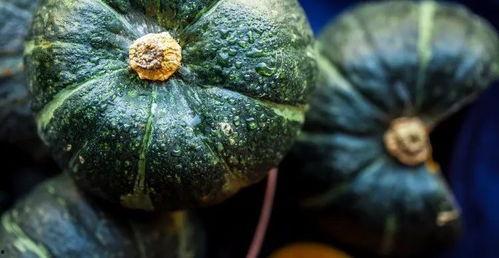 瓜是好瓜怎么吃