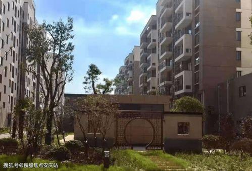 最近售楼小姐吃瓜新闻,揭秘行业幕后八卦风云