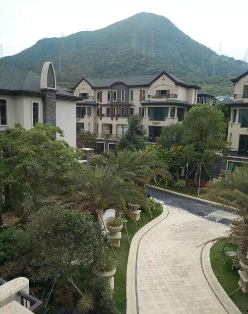 最近售楼小姐吃瓜新闻,揭秘行业幕后八卦风云