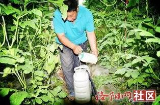 五一假期情侣吃瓜,甜蜜瞬间记录甜蜜生活