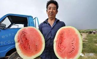 算算吃瓜,揭秘娱乐圈背后的秘密与真相