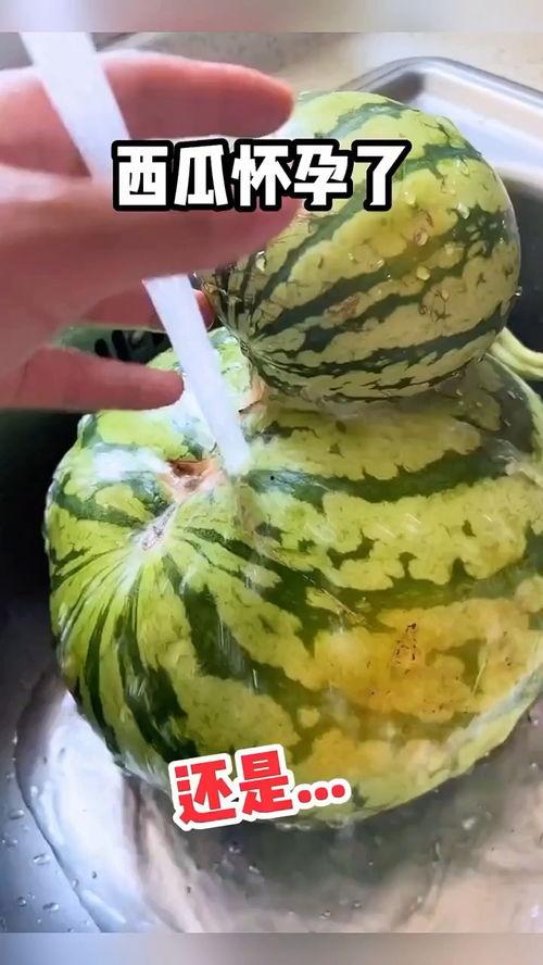 吃瓜热门搞笑视频