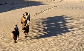 大漠孤烟吃瓜,揭秘吃瓜背后的故事与趣味