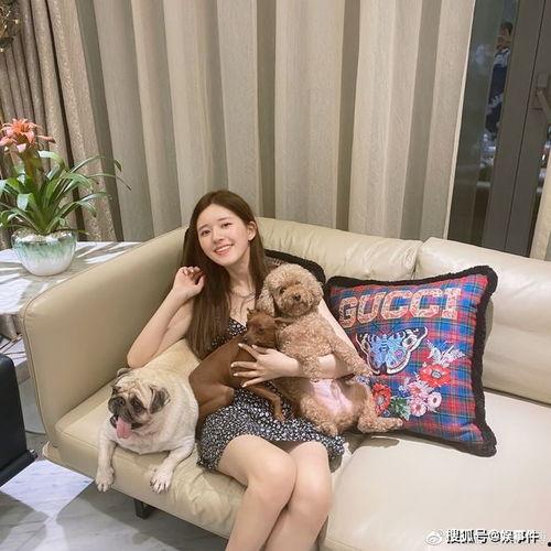 plmm在线吃瓜,揭秘娱乐圈幕后故事