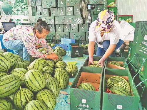 最近韩城吃瓜事件视频