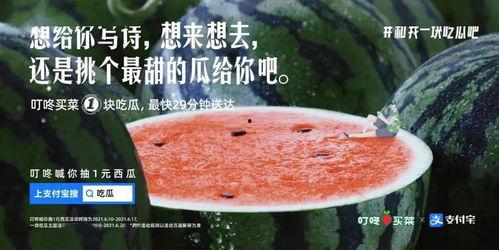 经常吃瓜文案,揭秘那些让人欲罢不能的吃瓜瞬间