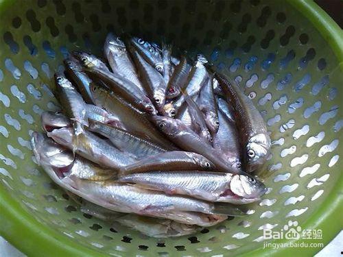 小鱼吃瓜爆料,揭秘娱乐圈幕后真相，带你走进明星生活