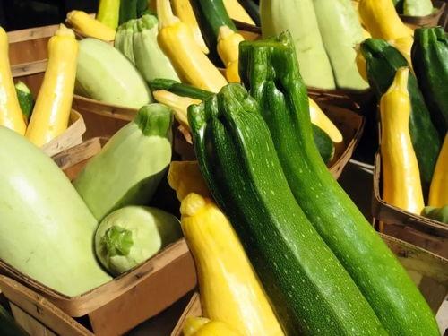 demon吃瓜,网络红人的瓜田奇遇记