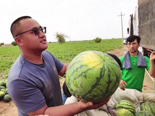 静默吃瓜,揭秘网络热议背后的真相与反思