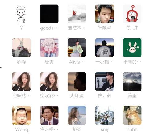 吃瓜群dd,一场网络热议背后的故事