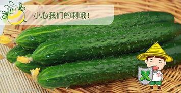 5六六吃瓜,网络热词背后的故事与影响