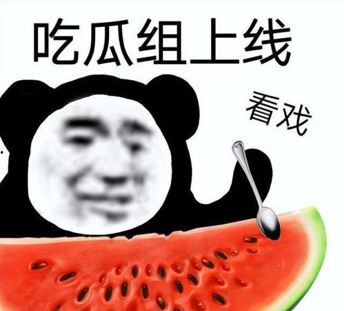 无视我吧 吃瓜,吃瓜群众热议焦点