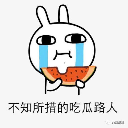 收租不如吃瓜后续,揭秘社区物业管理的另类现象