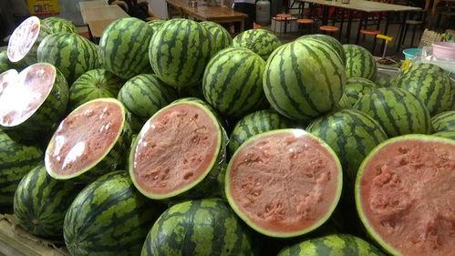 自由吃瓜基地0,揭秘网络热点的背后真相