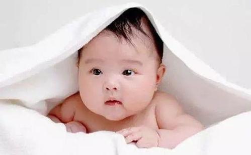 吃瓜婴儿引产,揭秘婴儿吃瓜背后的神奇现象