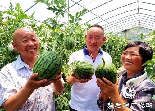 吃瓜驿城区,探寻美食与文化的交汇之地