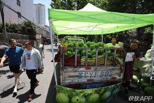 吃瓜网点su,带你领略网络世界的趣味与真相