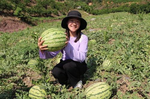 清清晓溪吃瓜,揭秘娱乐圈的“吃瓜”风云