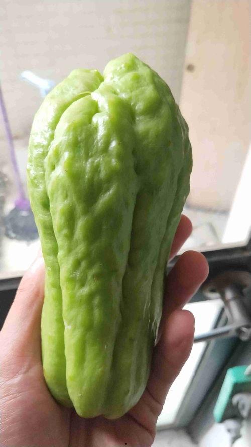 云南扶手瓜怎样吃啊,云南扶手瓜的多样食法探索