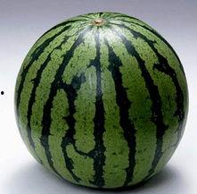 现在吃瓜图片,吃瓜群众的视觉盛宴