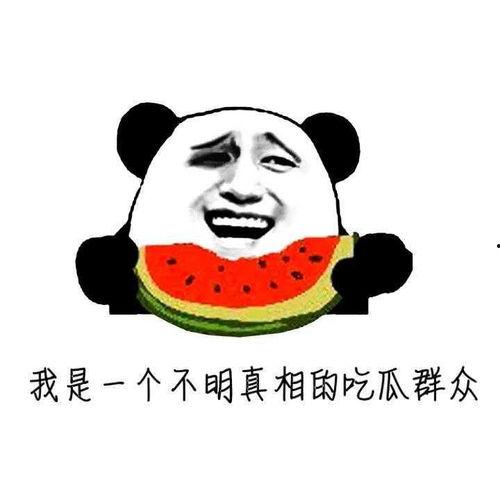 吃瓜的胖子,揭秘娱乐圈幕后故事