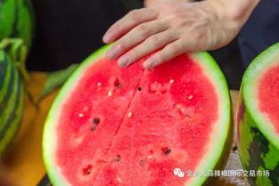 兰州学院吃瓜,吃瓜群众眼中的校园生活剪影