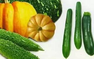 牛顿吃瓜,科学巨匠的趣味日常