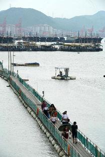 渔船扎堆吃瓜图片,共享夏日瓜果盛宴