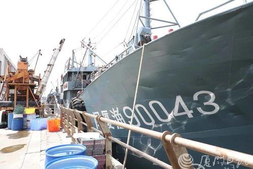 渔船扎堆吃瓜图片,共享夏日瓜果盛宴