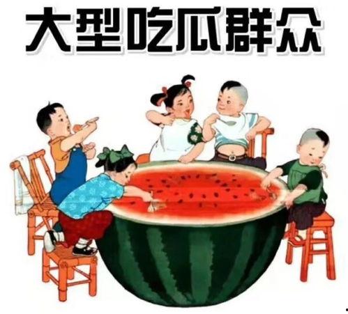 梦见摘两个小瓜回家吃,摘瓜回家，品味生活的甜蜜滋味