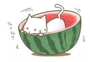 梦见摘两个小瓜回家吃,摘瓜回家，品味生活的甜蜜滋味