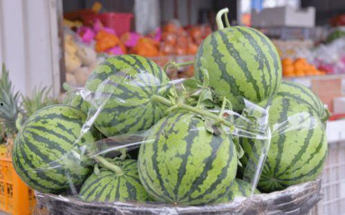 乐圈吃瓜,揭秘娱乐圈背后的“吃瓜”故事