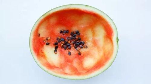 吃瓜勺子拍照推荐,轻松拍出网红范儿！