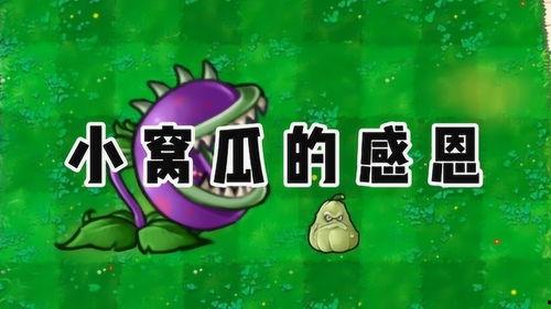 大嘴瓜吃僵尸游戏,惊险刺激的生存挑战之旅