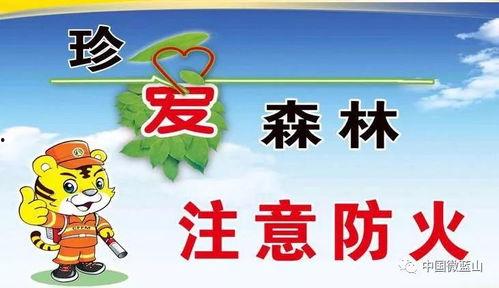 森林防火吃瓜视频,吃瓜视频揭示防火意识缺失