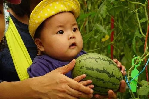 沙河幼师吃瓜群,揭秘幼教圈里的那些事儿