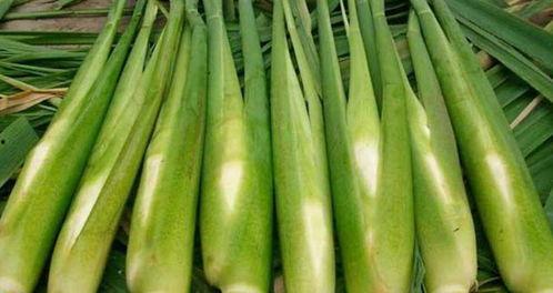 梦见去水里偷茭白瓜吃瓜,水中偷茭白瓜的奇幻之旅