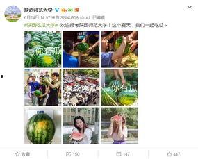 大学吃瓜套路,一场别开生面的校园风云录