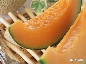 吃瓜只吃哈密瓜什么意思,揭秘“吃瓜只吃哈密瓜”的流行现象